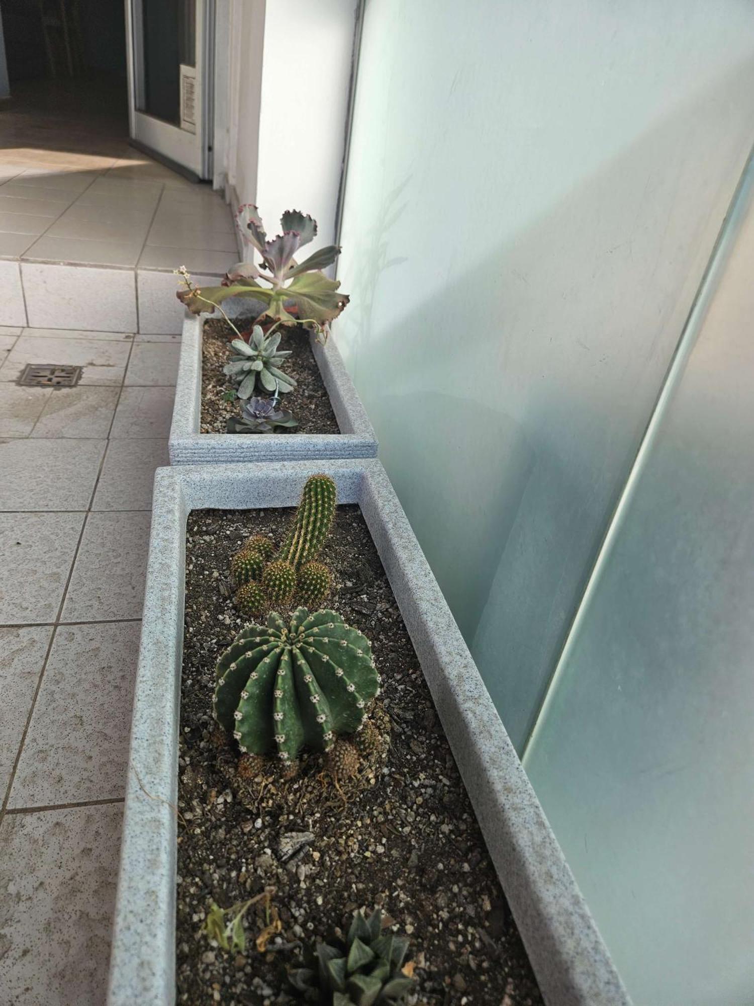 Apartamento Picasso Nueva